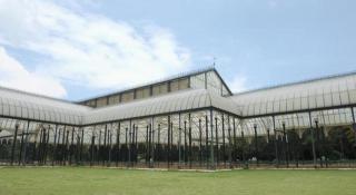 Hotel Nandhini Jayanagar - 4