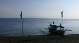 Anahaw Island View Resort - 7