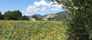 Casa Rosa Cascina - 9