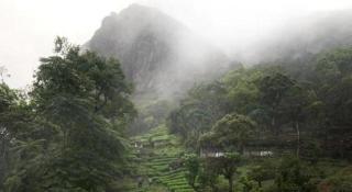 Willmount Geodesic Domes Vagamon - 4