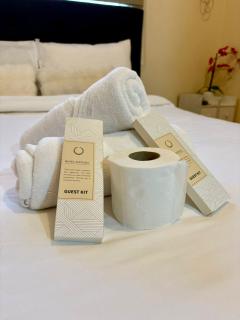 Modern Pet Friendly 1br Condo with Balcony near AIRPORT MOA & OKADA Pasay Staycation WFH ready Free Pool Acces Gym and Sauna - 8