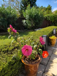 CHAMBRE D HOTES à 4 KMS D UZES " Chez Nadou " - 6
