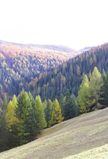 Maiensäss Stafel 45 - 6