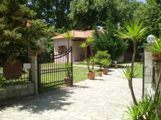 Dodis Village - Platanias - 5