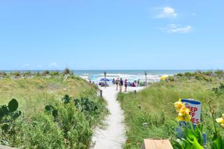 Direct Oceanfront Magic at Sea Marsh w Pool - 6