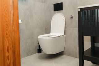 Elegant Cape Dutch Home in Leafy Suburb - 9