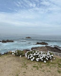 Lagunamar Jardín Privado Frente a Laguna 8 personas - 8