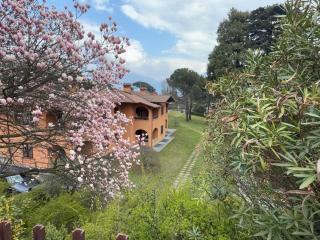 GuestHost - Menaggio Flat with Parking & Veranda - 6