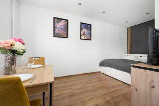 Praktyczne Studio Blisko Centrum Wrocławia by Noclegi Renters - 6