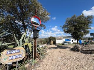 GP Cortijo Palmera - 1