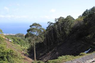 Petras Madeira Hideaway - 5