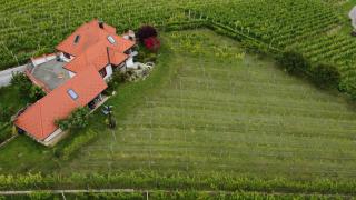 Villa Lotus - Štrigova - 6