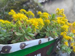 Casa Rural La Xana - 6