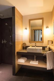 La Gree Des Landes - Eco-Hotel-Spa Yves Rocher - 3