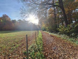 Fewo Holtwicker Ei - 2