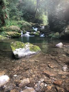 Sunleaf Homestay near Darjeeling Town Rampuria - 6