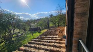 Da Taz Siena - Siena - 5