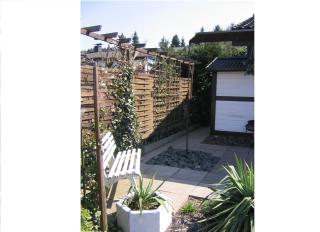 Ferienhaus Hennesee - 1