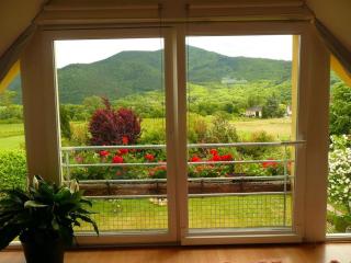 Les Euphorbes, gîte entre vignes et montagnes - 5