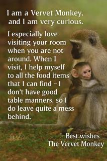 Rose cottage Garden Suite - 9