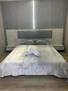 Ștefan residence - 5