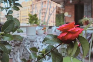 PratinnVatican - Roma - 5