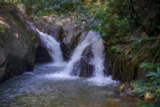 ปางสูงเฮาส์ Blue mini House - 6