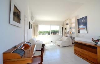 Green Club P 303 star - Pals - 4