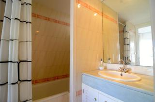 Green Club P 303 star - Pals - 5