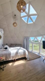 Sierra Pacífica - 8