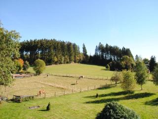 Group Getaway in Brilon-Wald - 6