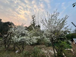 Satrangi Homestay Lamahatta - 7