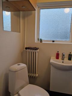 SelfossCenter flat - 1