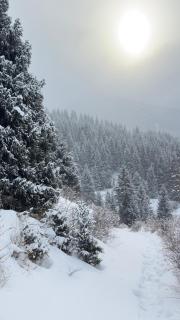 East guest house - 7