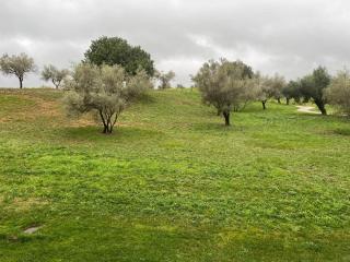 Apartamento dos habitaciones con vistas al campo de golf - 5