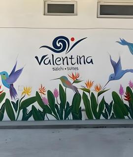 Valentina Salchi suites virgin beaches internet - Cuatunalco - 2