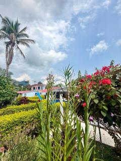 GLAMPING EL PARAÍSO - 5