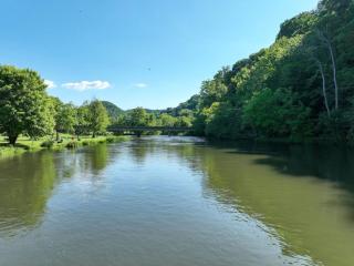 Tway Bird Chalet on The Watauga River - 3
