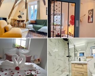Sous les toits - charmant T2 en plein centre-ville - Quimper - 9