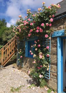 Les volets bleus - 8