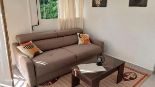 Eco-Nature Studio - 0