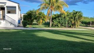 Eco-Nature Studio - 5