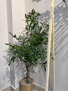 Urban Airport Home - 1