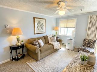 Snowshoe Ski-InSki-Out Steps to Ballhooter Lift Mountain Lodge Condo - 9