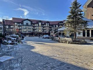 RF 312-313 2BR Ski-InOut Village Center Sleeps 8 - 0