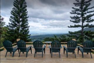 El Manzano Estate Coffee Farm - 5