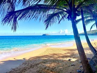 Tibo bas de villa accès 4 plages à Deshaies - 0