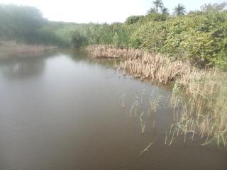 Kadiamor diannah Sénégal - 6