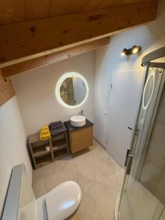 Burgener Sport Dachwohnung - 5