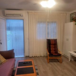 Verdemar Bajo - 2